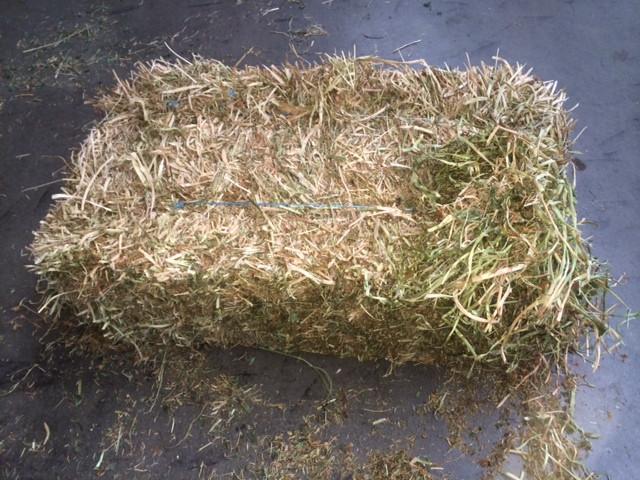 Pictures7505kensington-produce-red-clover-hay_1024x1024.jpg